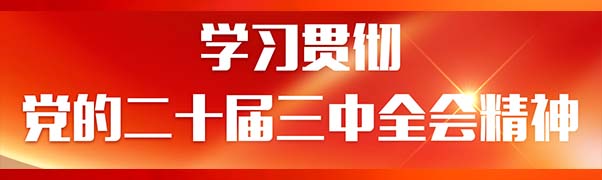 学习贯彻党的二十届三中全会精神