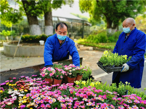 园区工人：为筹备开园做好草花布置.jpg